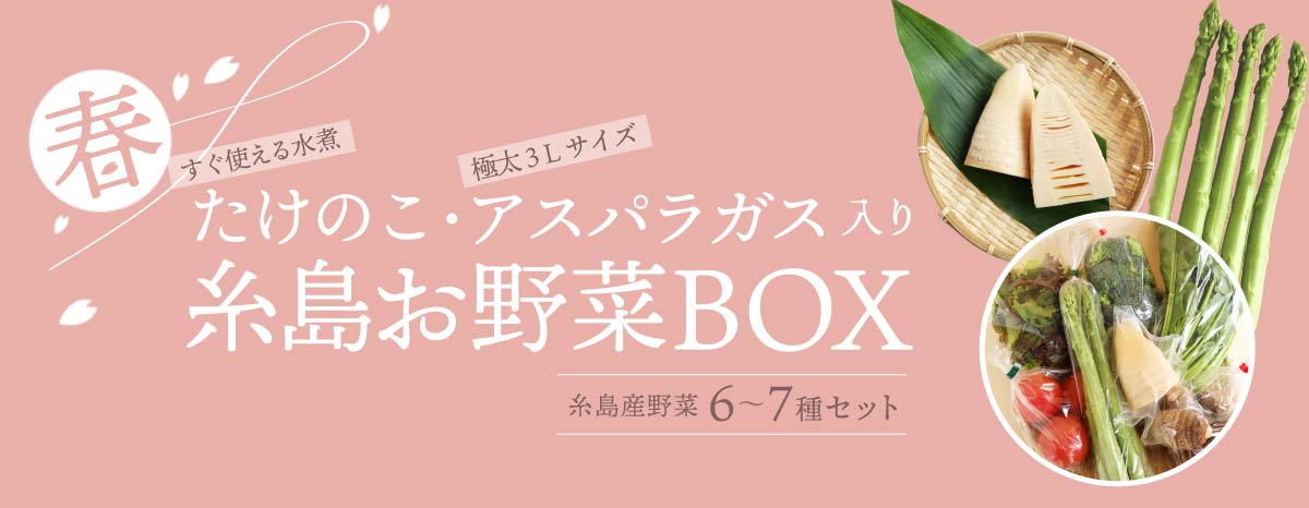 ご予約受付開始　糸島産タケノコ＆糸島産アスパラ入り野菜BOX